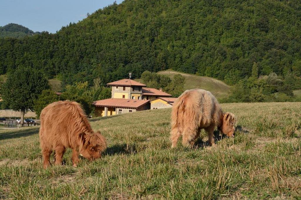 Vila Agriturismo Ca Bella San Sebastiano Curone Exteriér fotografie