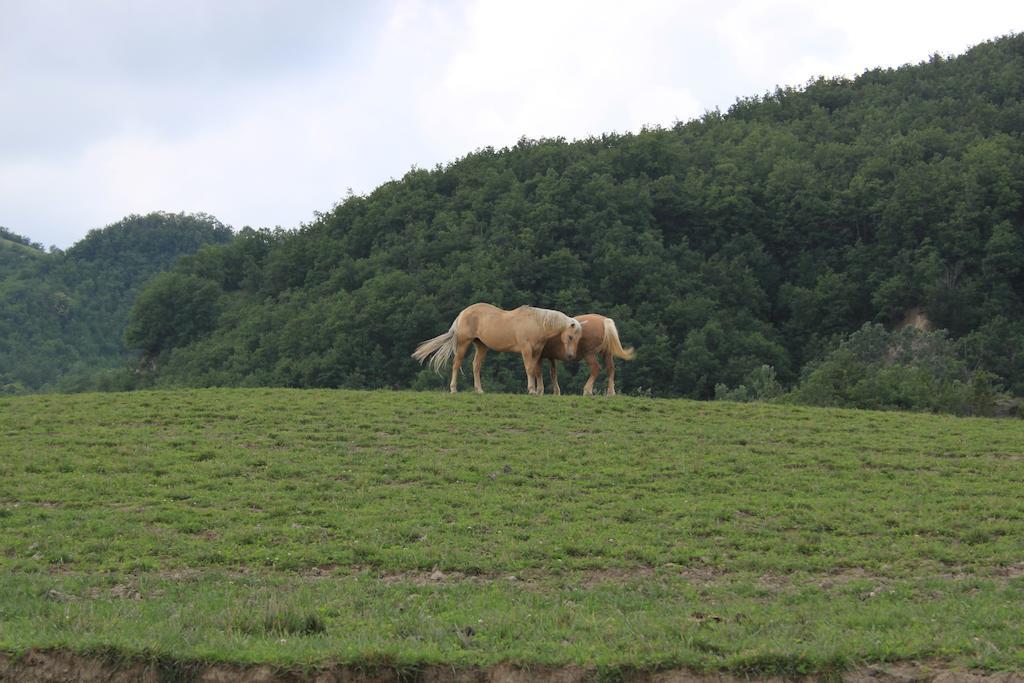 Vila Agriturismo Ca Bella San Sebastiano Curone Exteriér fotografie